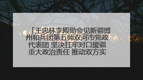 王忠林李殿勋会见新疆博州和兵团第五师双河市党政代表团 坚决扛牢对口援疆重大政治责任 推动双方实现优势互补务实合作