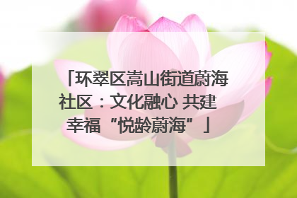环翠区嵩山街道蔚海社区：文化融心 共建幸福“悦龄蔚海”