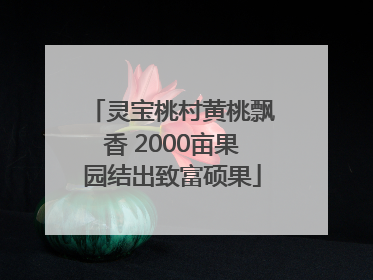 灵宝桃村黄桃飘香 2000亩果园结出致富硕果