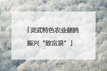 灵武特色农业翻腾振兴“致富浪”