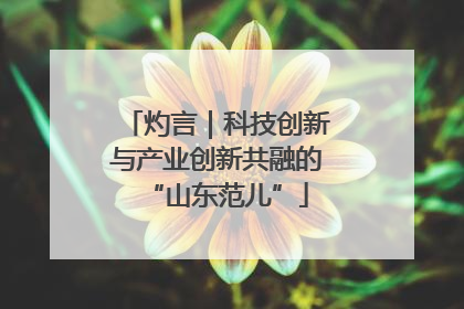 灼言｜科技创新与产业创新共融的“山东范儿”