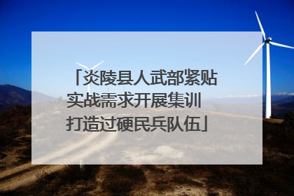 炎陵县人武部紧贴实战需求开展集训 打造过硬民兵队伍