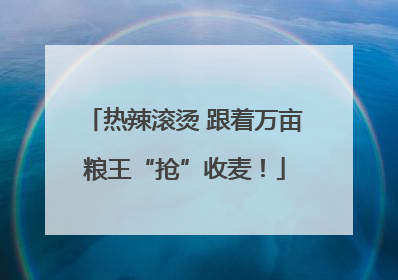 热辣滚烫 跟着万亩粮王“抢”收麦！