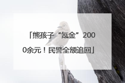 熊孩子“氪金”2000余元！民警全额追回