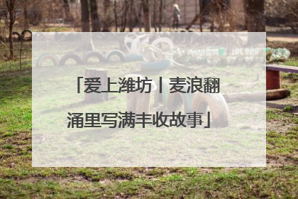爱上潍坊丨麦浪翻涌里写满丰收故事