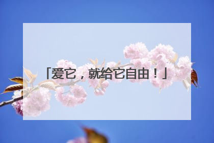 爱它，就给它自由！