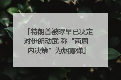 特朗普被曝早已决定对伊朗动武 称“两周内决策”为烟雾弹