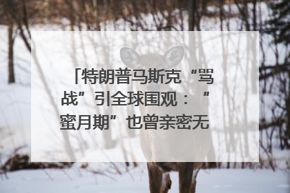 特朗普马斯克“骂战”引全球围观：“蜜月期”也曾亲密无间｜国际观察