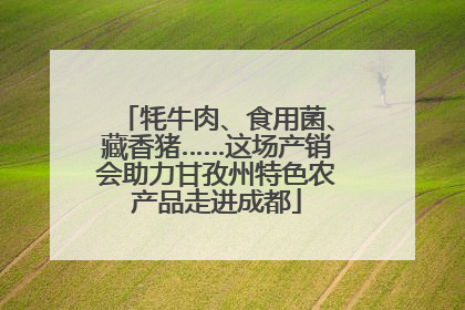 牦牛肉、食用菌、藏香猪……这场产销会助力甘孜州特色农产品走进成都