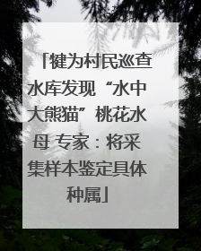 犍为村民巡查水库发现“水中大熊猫”桃花水母 专家：将采集样本鉴定具体种属