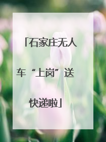 石家庄无人车“上岗”送快递啦