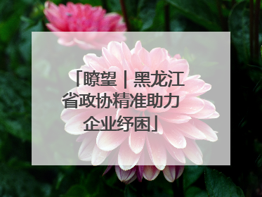 瞭望｜黑龙江省政协精准助力企业纾困