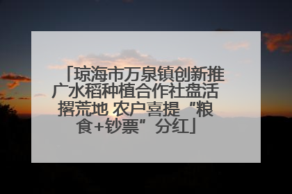 琼海市万泉镇创新推广水稻种植合作社盘活撂荒地 农户喜提“粮食+钞票”分红