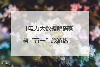 电力大数据解码新疆“五一”旅游热