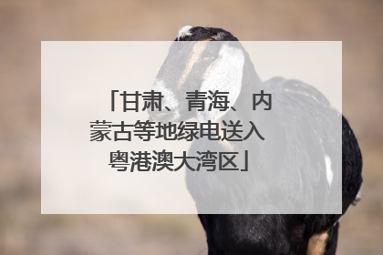甘肃、青海、内蒙古等地绿电送入粤港澳大湾区