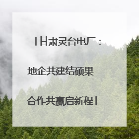 甘肃灵台电厂：地企共建结硕果 合作共赢启新程
