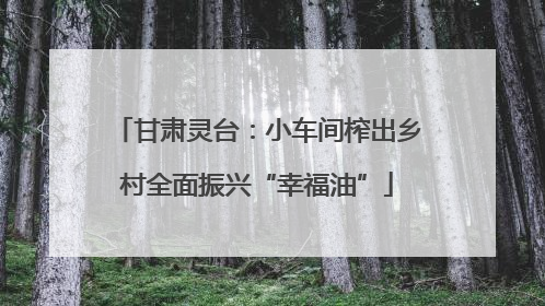 甘肃灵台：小车间榨出乡村全面振兴“幸福油”