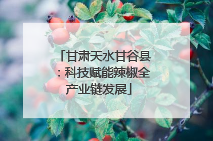 甘肃天水甘谷县：科技赋能辣椒全产业链发展
