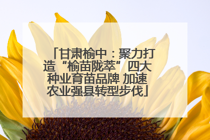 甘肃榆中：聚力打造“榆苗陇萃”四大种业育苗品牌 加速农业强县转型步伐