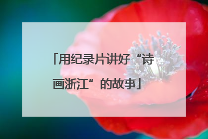用纪录片讲好“诗画浙江”的故事