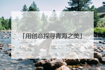 用创意探寻青海之美