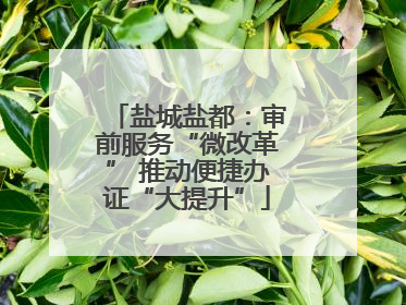 盐城盐都：审前服务“微改革” 推动便捷办证“大提升”