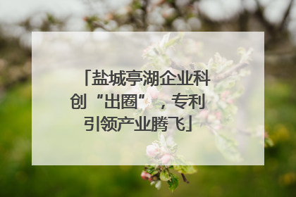 盐城亭湖企业科创“出圈”，专利引领产业腾飞