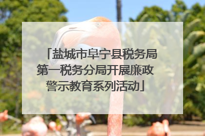 盐城市阜宁县税务局第一税务分局开展廉政警示教育系列活动