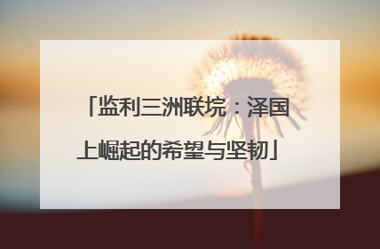 监利三洲联垸：泽国上崛起的希望与坚韧