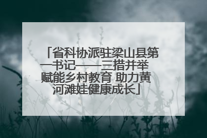 省科协派驻梁山县第一书记——三措并举 赋能乡村教育 助力黄河滩娃健康成长