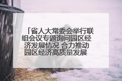 省人大常委会举行联组会议专题询问园区经济发展情况 合力推动园区经济高质量发展 王宁主持会议并讲话 王予波带队到会应询