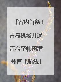 省内首条！青岛机场开通青岛至韩国清州直飞航线