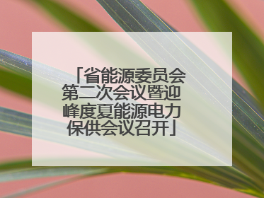 省能源委员会第二次会议暨迎峰度夏能源电力保供会议召开