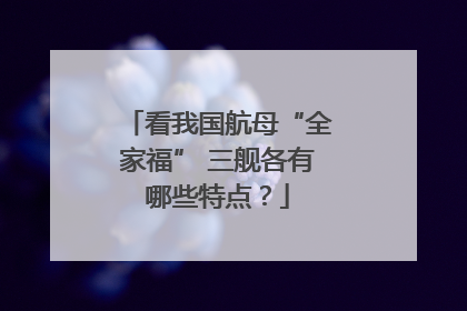 看我国航母“全家福” 三舰各有哪些特点？