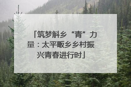 筑梦斛乡“青”力量：太平畈乡乡村振兴青春进行时