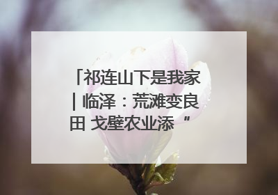 祁连山下是我家｜临泽：荒滩变良田 戈壁农业添“绿”生“金”