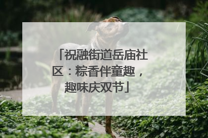 祝融街道岳庙社区：粽香伴童趣，趣味庆双节