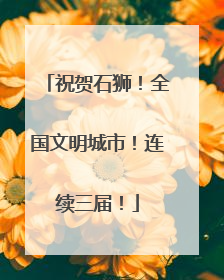 祝贺石狮！全国文明城市！连续三届！