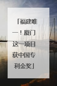 福建唯一！厦门这一项目获中国专利金奖
