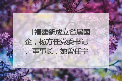 福建新成立省属国企，杨方任党委书记、董事长，她曾任宁德市委副书记｜张田怡已任县委副书记、县政府党组书记