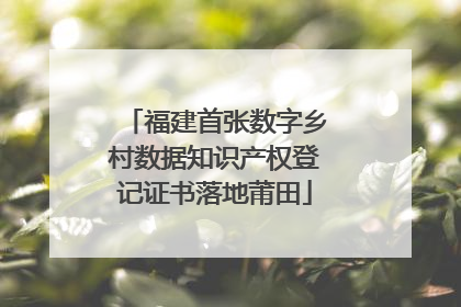 福建首张数字乡村数据知识产权登记证书落地莆田