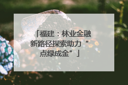 福建：林业金融新路径探索助力“点绿成金”