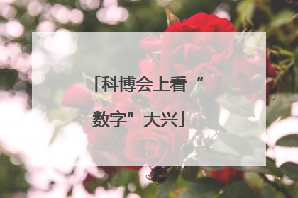 科博会上看“数字”大兴