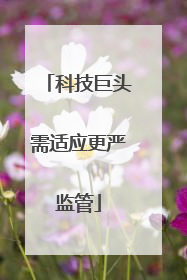 科技巨头需适应更严监管