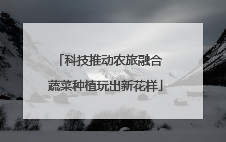 科技推动农旅融合 蔬菜种植玩出新花样