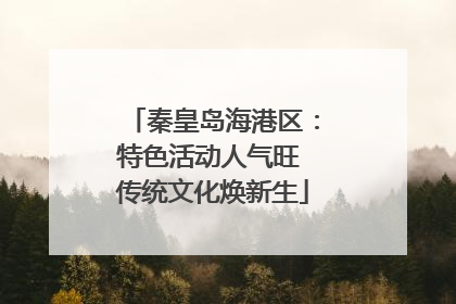 秦皇岛海港区：特色活动人气旺 传统文化焕新生
