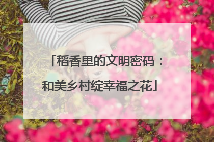 稻香里的文明密码：和美乡村绽幸福之花