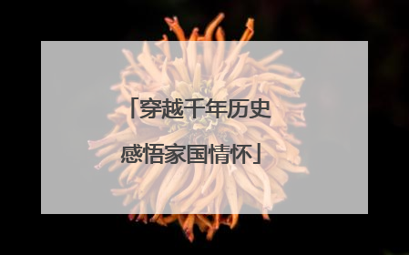 穿越千年历史 感悟家国情怀