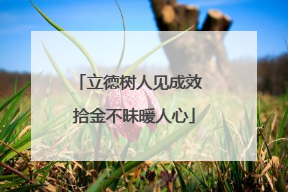 立德树人见成效 拾金不昧暖人心