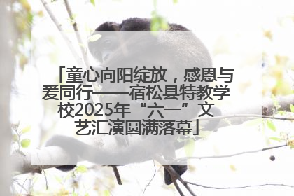 童心向阳绽放，感恩与爱同行——宿松县特教学校2025年“六一”文艺汇演圆满落幕